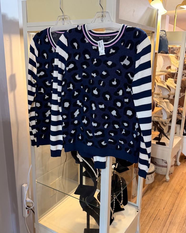 A navy leopard and stripe sweater